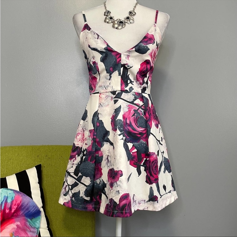 Tobi Rose Floral Sleeveless Mini Sundress Dress
Pink Grey White Small